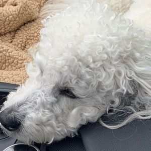 Meet your Posher, Mark